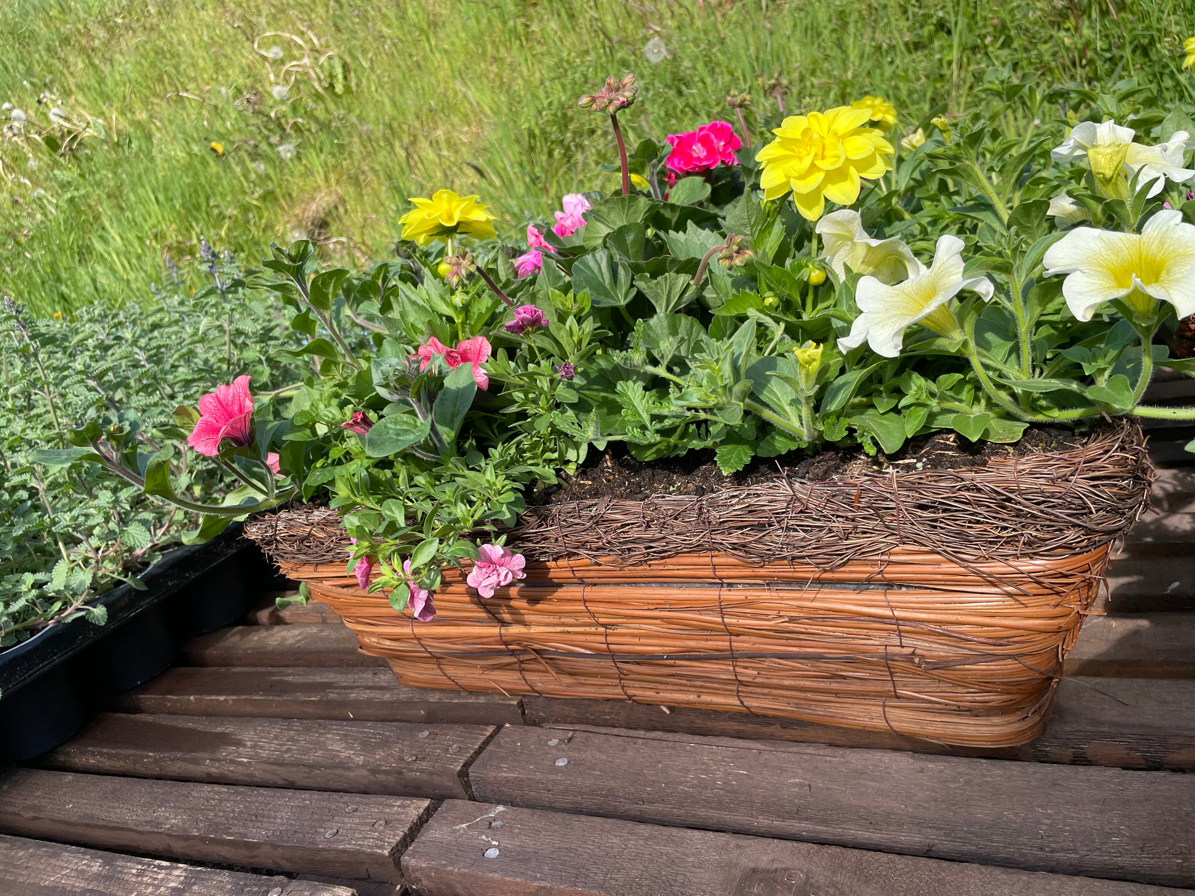 53cm Wicker Window Boxes