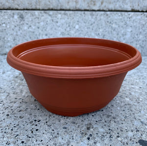 6 inch Terracotta Plastic Container